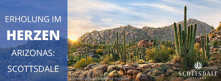 Tipp: Scottsdale im Sommer unfassbar günstig!