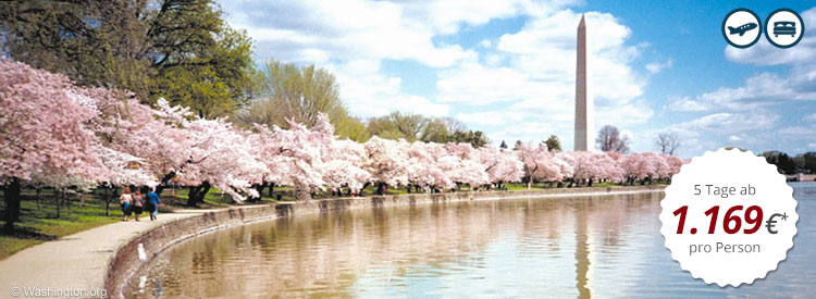 Cherry Blossom Festival in Washington, DC