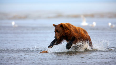 Emotionsbild Ketchikan