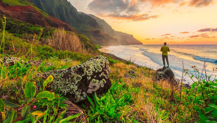 Emotionsbild Oahu