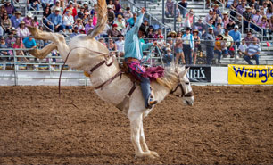 La Fiesta de los Vaqueros® - Tucson Rodeo & Parade