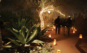 Las Noches de las Luminarias