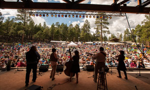 Pickin‘ in the Pines