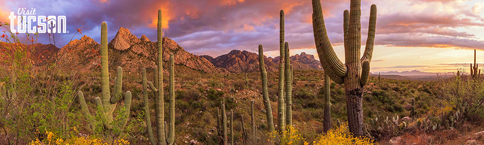 Auf nach Tucson!