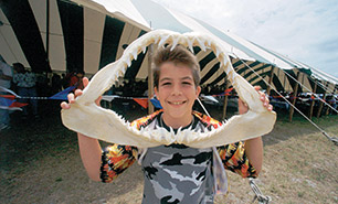Sharks Tooth Festival
