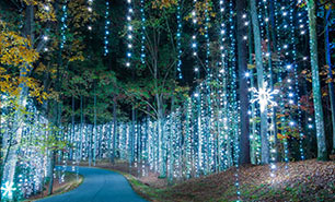 Fantasy In Lights at Callaway Resort & Gardens