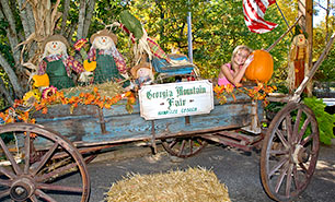 Georgia Mountain Fall Festival