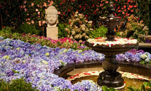 Chicago Flower and Garden Show