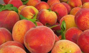 Peach Festivals