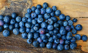 Blaubeeren aus Allenwood