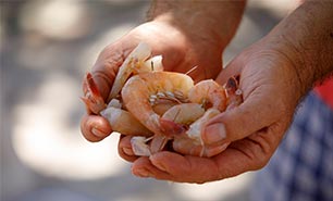 Fort Myers Beach Shrimp Festival