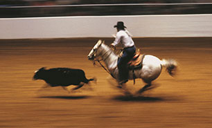 Houston Livestock Show & Rodeo 