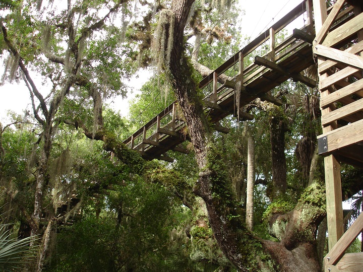 myakka_park_bridge.jpg