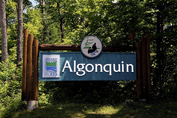 algonquin_park2.jpg