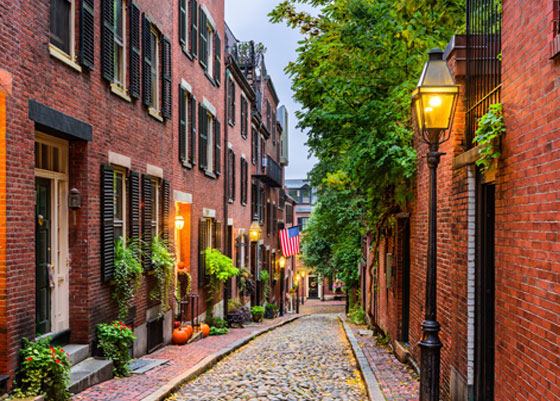 Boston FrancesMartyna