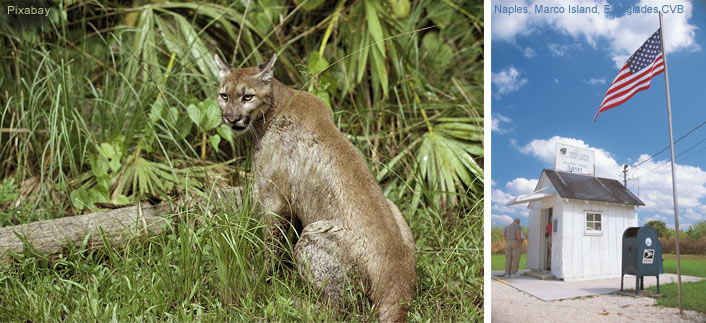 Everglades, Big Cypress National Preserve und Postamt in Ochopee