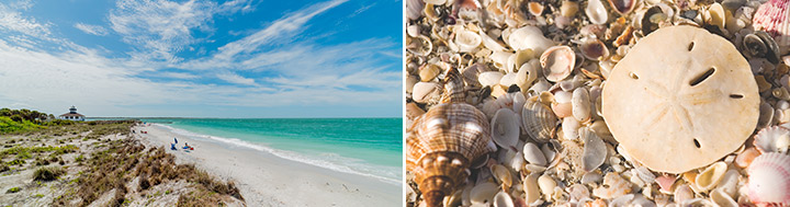 fort_myers_texbild_1.jpg
