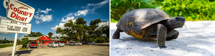 fort_myers_texbild_1.jpg