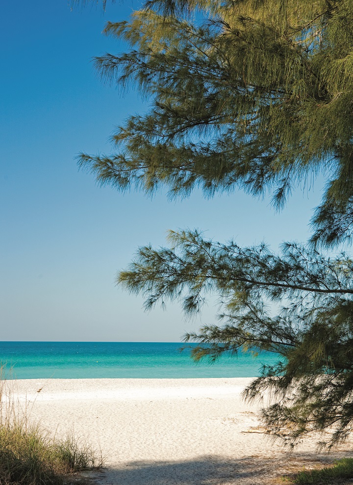 longboat_key_beach2.jpg