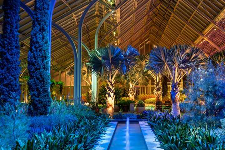 longwood-garden-glow