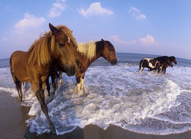 Infos / Empfehlungen