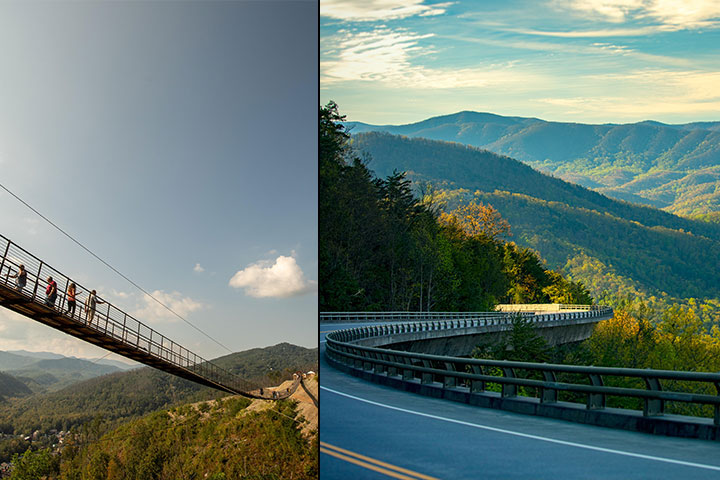tennessee-nature-gsm.jpg