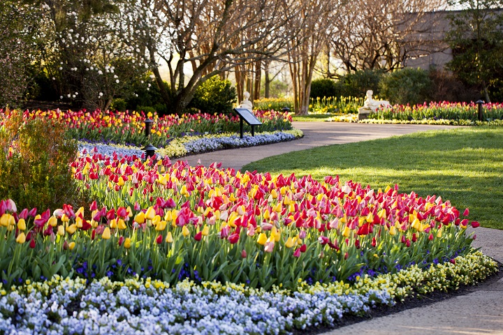 tn-parks.jpg